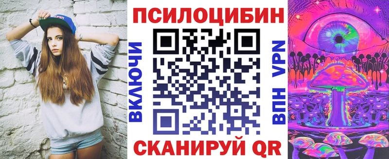 Галлюциногенные грибы Psilocybe  купить  цена  Александровское 